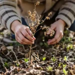 Featured image placeholder 16:9